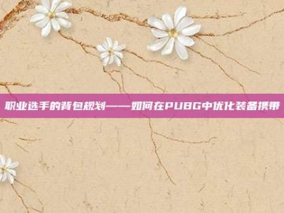 职业选手的背包规划——如何在PUBG中优化装备携带