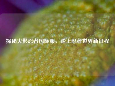 探秘火影忍者国际服，踏上忍者世界新征程