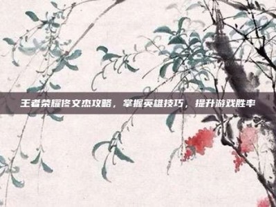 王者荣耀佟文杰攻略，掌握英雄技巧，提升游戏胜率