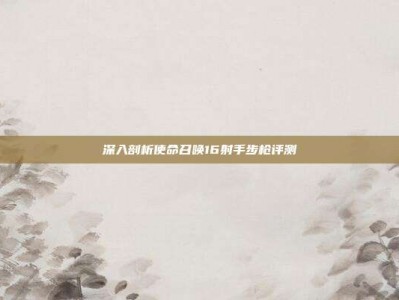 深入剖析使命召唤16射手步枪评测