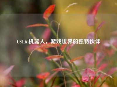 CS1.6 机器人，游戏世界的独特伙伴