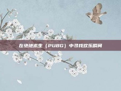 在绝地求生（PUBG）中寻找欢乐瞬间