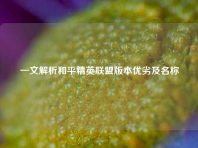 一文解析和平精英联盟版本优劣及名称