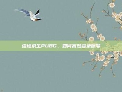 绝地求生PUBG，如何高效登录账号