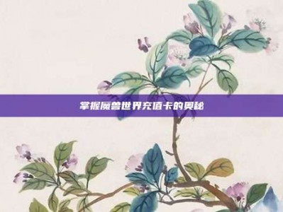 掌握魔兽世界充值卡的奥秘