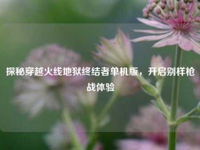 探秘穿越火线地狱终结者单机版，开启别样枪战体验