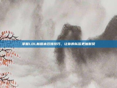 掌握LOL新版本双排技巧，让你的队伍更加默契