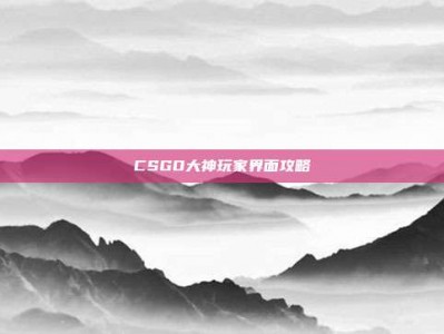 CSGO大神玩家界面攻略