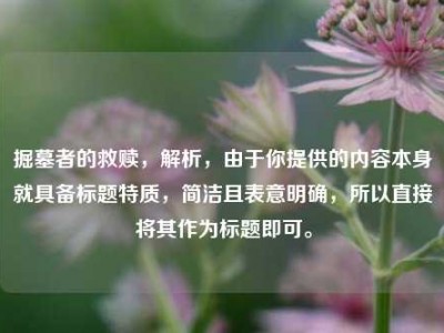 掘墓者的救赎，解析，由于你提供的内容本身就具备标题特质，简洁且表意明确，所以直接将其作为标题即可。