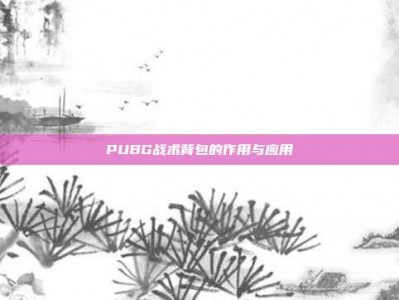 PUBG战术背包的作用与应用