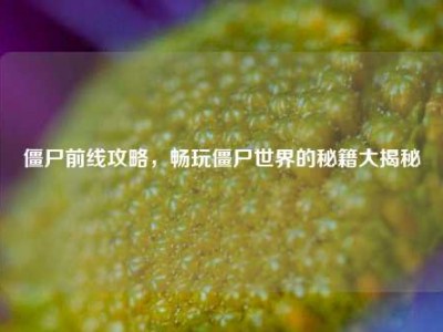 僵尸前线攻略，畅玩僵尸世界的秘籍大揭秘