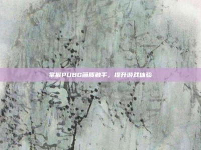 掌握PUBG画质触手，提升游戏体验