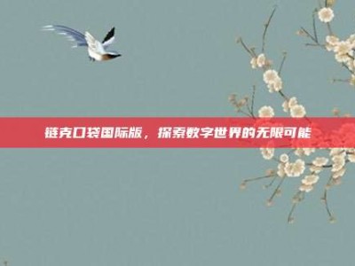 链克口袋国际版，探索数字世界的无限可能