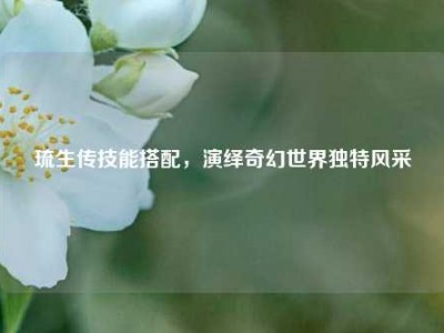 琉生传技能搭配，演绎奇幻世界独特风采