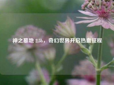 神之墓地 2.5b，奇幻世界开启热血征程