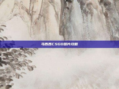 马西西CSGO图片攻略