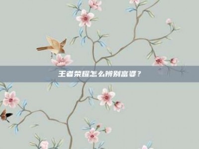 王者荣耀怎么辨别富婆？