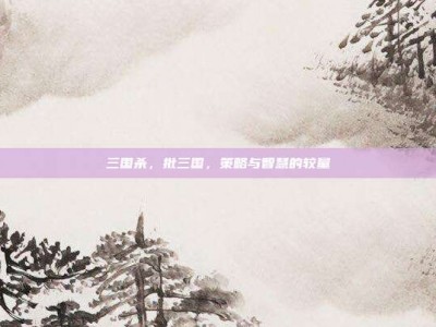 三国杀，批三国，策略与智慧的较量