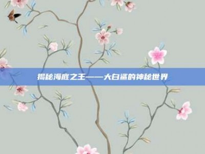揭秘海底之王——大白鲨的神秘世界