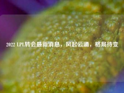 2022 LPL转会最新消息，风起云涌，格局待变