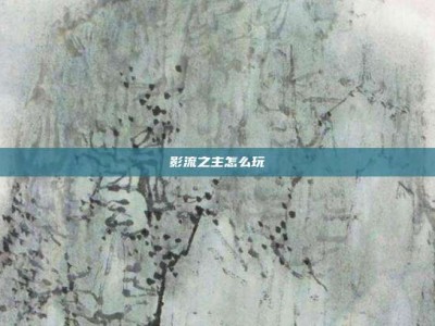影流之主怎么玩