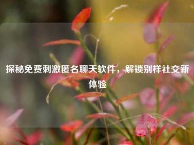 探秘免费刺激匿名聊天软件，解锁别样社交新体验