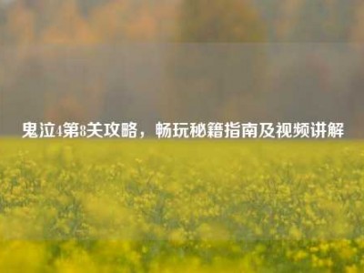 鬼泣4第8关攻略，畅玩秘籍指南及视频讲解
