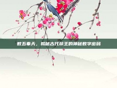 数五奉天，揭秘古代帝王的神秘数字密码