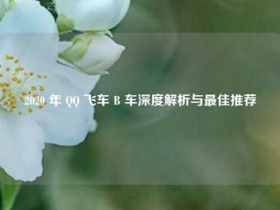 2020 年 QQ 飞车 B 车深度解析与最佳推荐