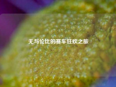 无与伦比的赛车狂欢之旅