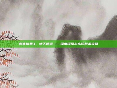 刺客信条3，地下通道——深度探索与高阶战术攻略