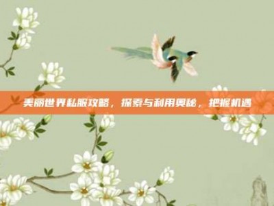 美丽世界私服攻略，探索与利用奥秘，把握机遇