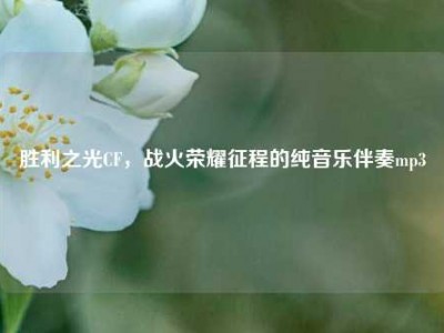 胜利之光CF，战火荣耀征程的纯音乐伴奏mp3
