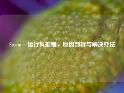 Steam一运行就报错，原因剖析与解决办法