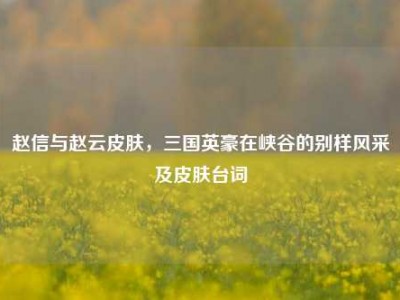 赵信与赵云皮肤，三国英豪在峡谷的别样风采及皮肤台词