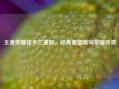 王者荣耀花木兰重做，经典重塑续写荣耀传奇