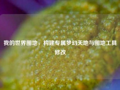 我的世界圈地，构建专属梦幻天地与圈地工具修改
