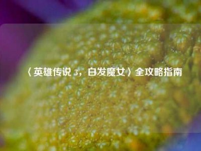 〈英雄传说 3，白发魔女〉全攻略指南
