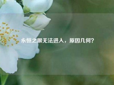 永恒之眼无法进入，原因几何？
