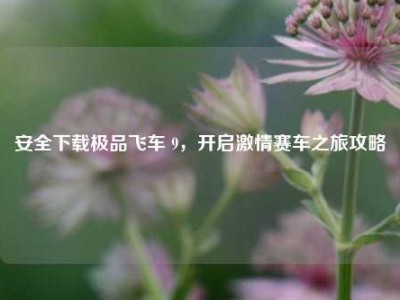 安全下载极品飞车 9，开启激情赛车之旅攻略