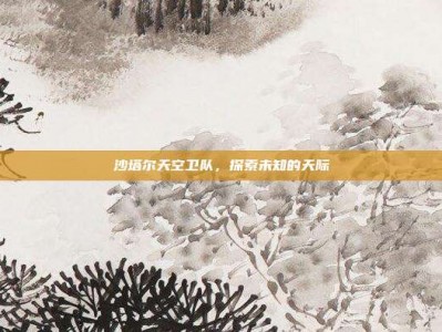 沙塔尔天空卫队，探索未知的天际