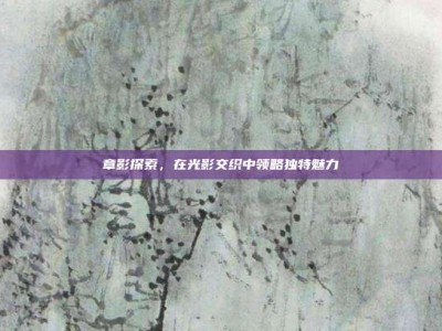 章影探索，在光影交织中领略独特魅力