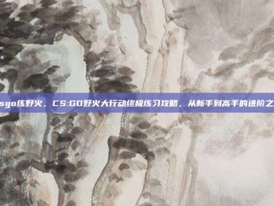 csgo练野火，CS:GO野火大行动终极练习攻略，从新手到高手的进阶之路