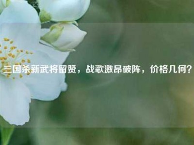 三国杀新武将留赞，战歌激昂破阵，价格几何？