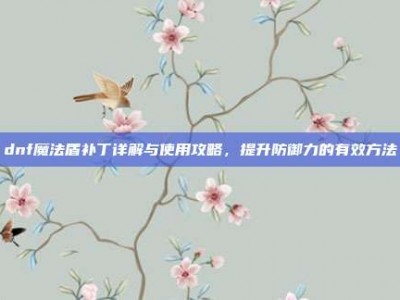 dnf魔法盾补丁详解与使用攻略，提升防御力的有效方法