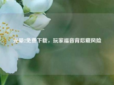光晕2免费下载，玩家福音背后藏风险