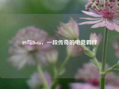 09与Dota，一段传奇的电竞羁绊