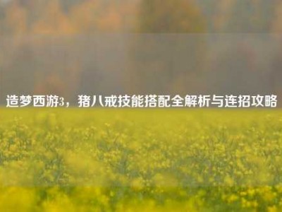 造梦西游3，猪八戒技能搭配全解析与连招攻略