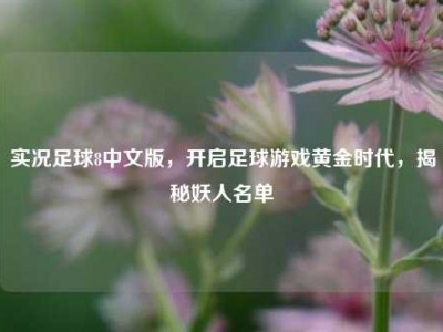 实况足球8中文版，开启足球游戏黄金时代，揭秘妖人名单