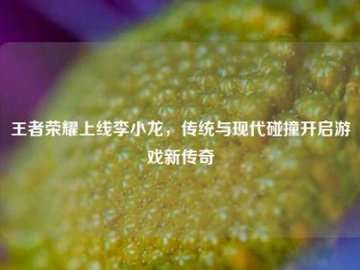王者荣耀上线李小龙，传统与现代碰撞开启游戏新传奇